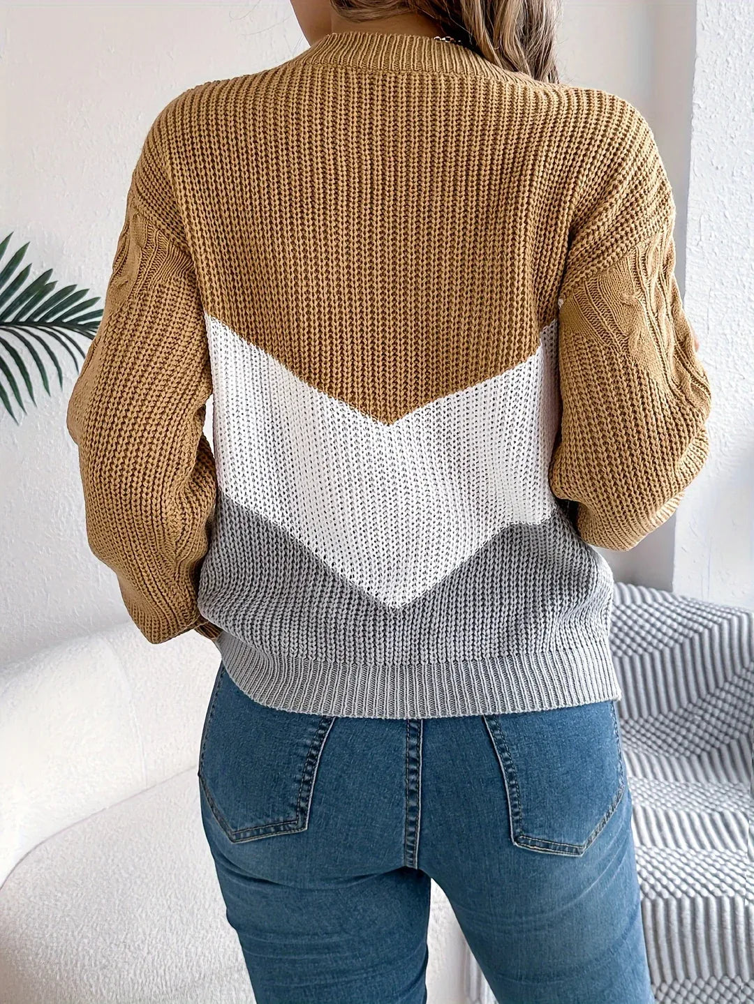Women's Color-Block Round Neck Sweater brown3.webp