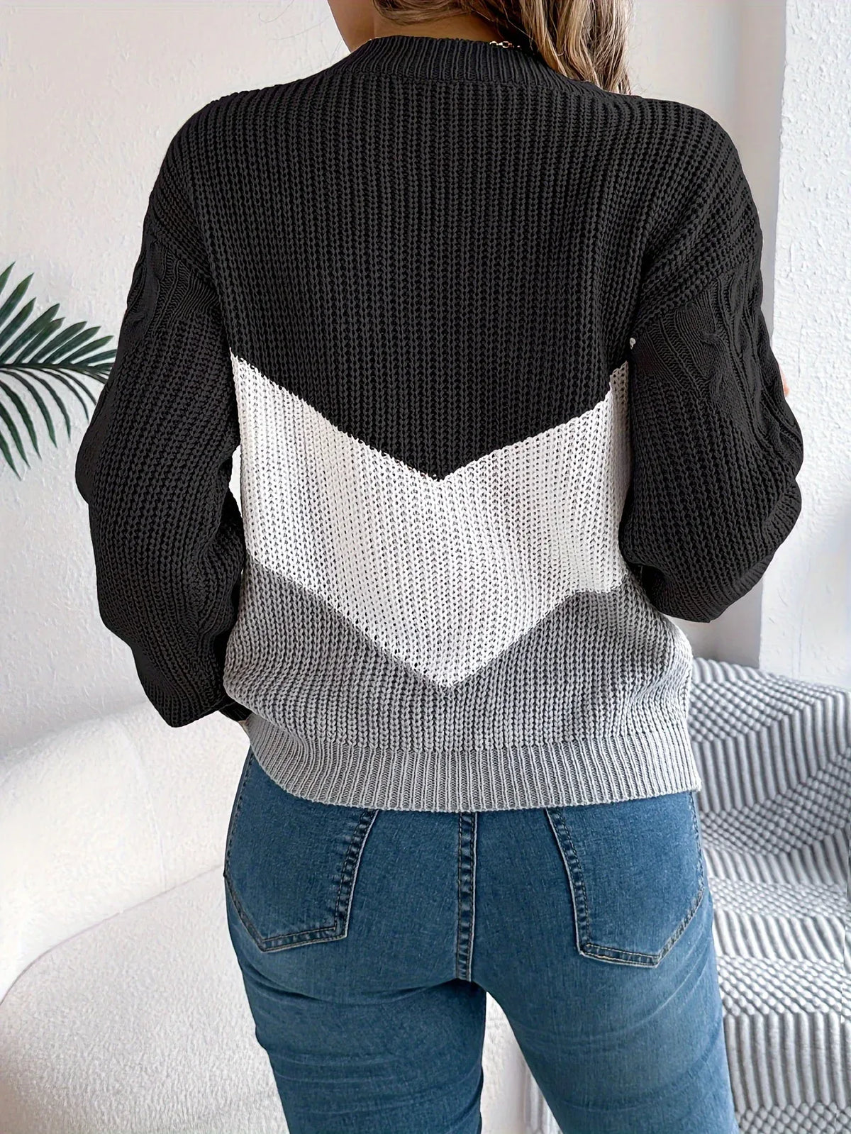 Women's Color-Block Round Neck Sweater black2.webp
